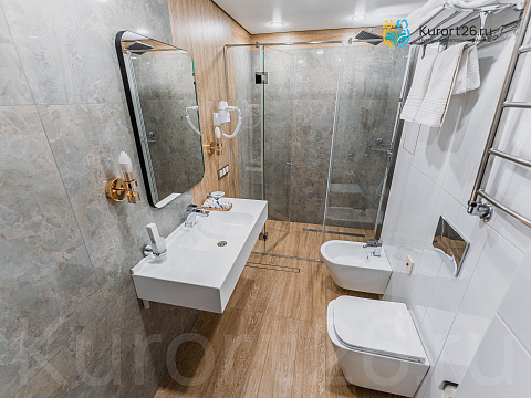  Санаторий &laquo;Виктория&raquo; г. Кисловодск. Номера